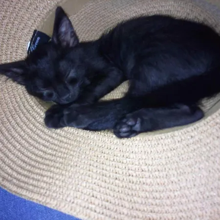 Marisa בית הארחה 3*