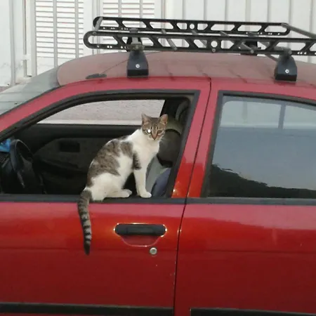 Guest house Marisa 3*