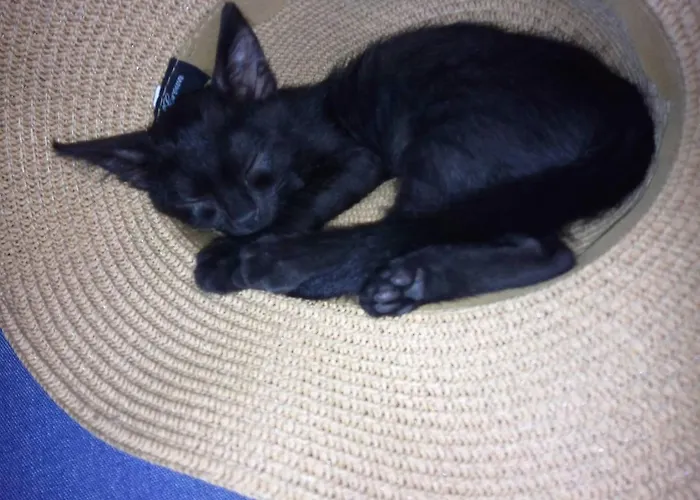 Marisa Πανσιόν 3*