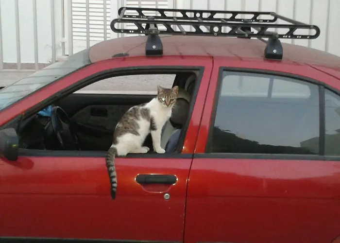 Πανσιόν Marisa 3*